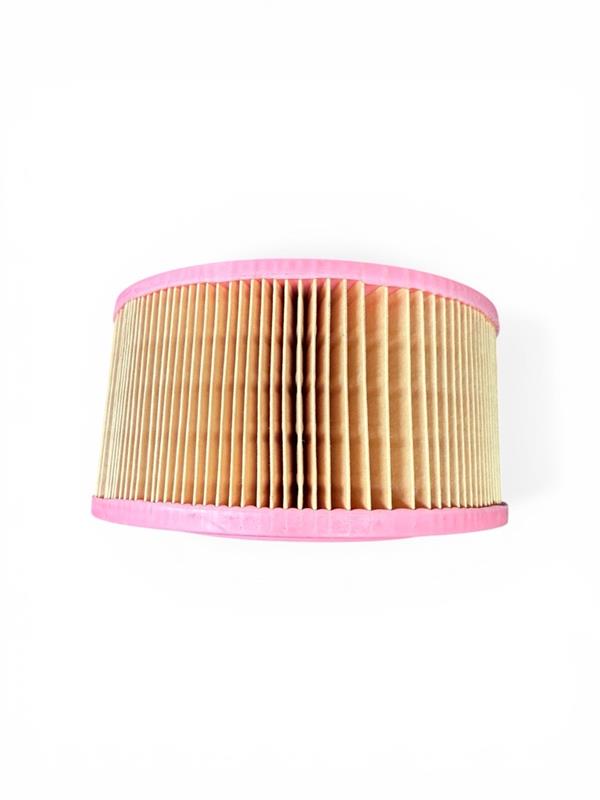 Genuine Weber MT air filter insert 040031132