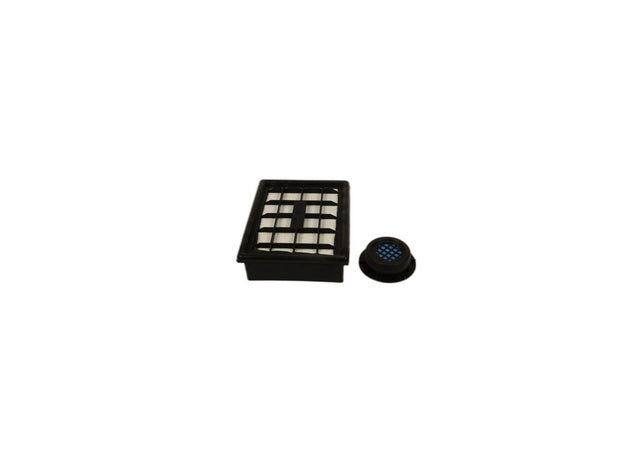Original Donaldson Luftfilterelement (Servicekit) X770818