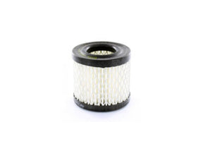 Original Fleetguard Luftfilterelement AF250