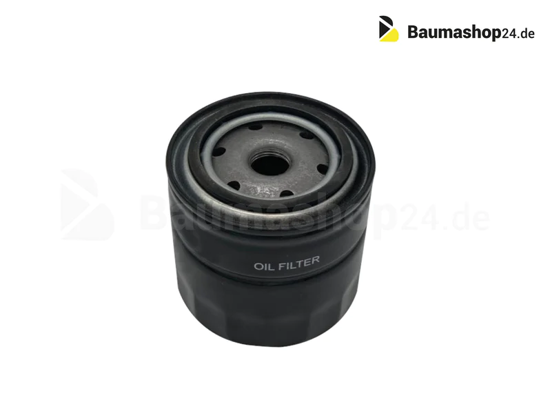 Original Takeuchi Kraftstofffilter 119802-55800